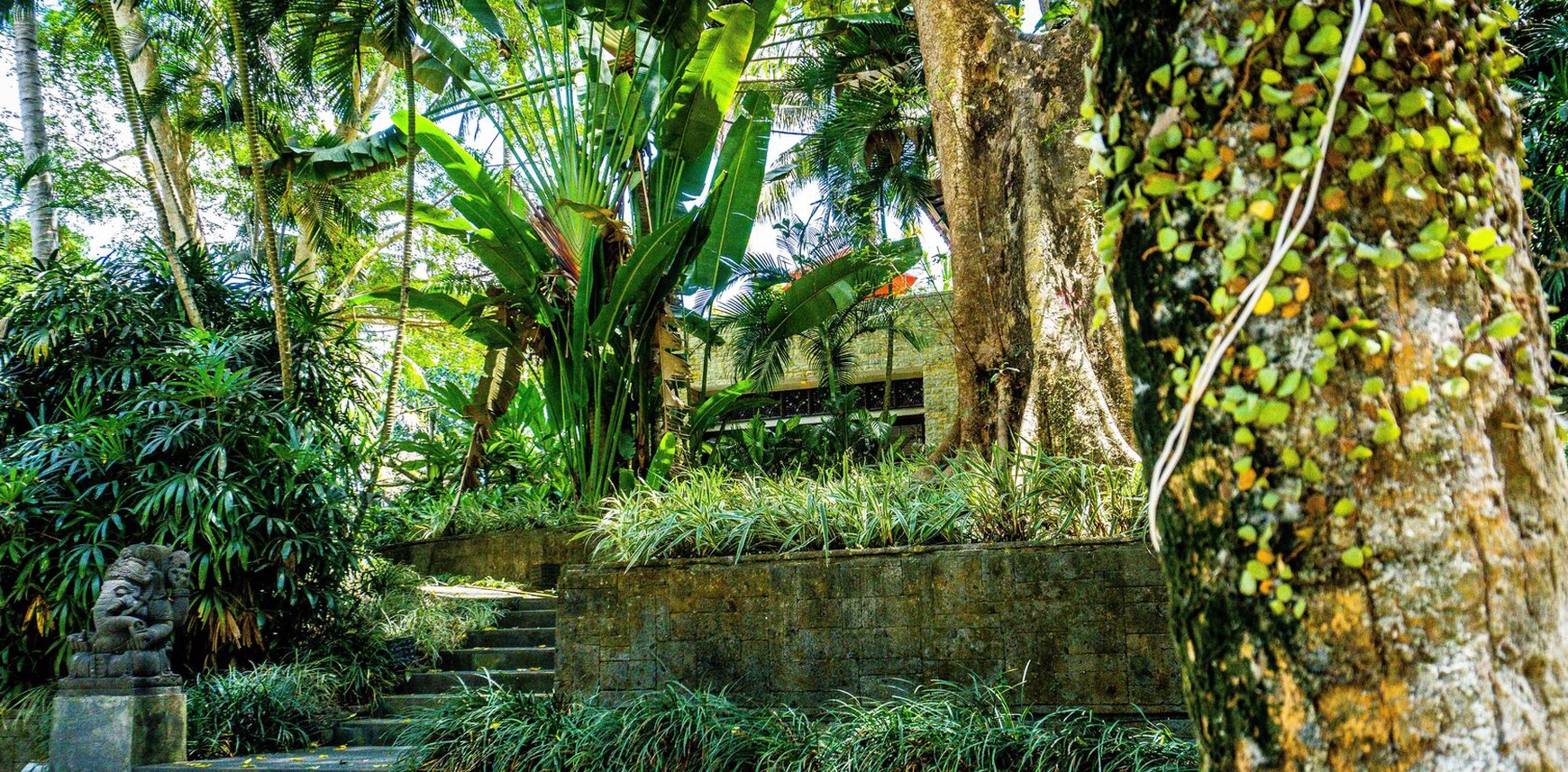 For Sale Freehold and Leasehold beautiful estate villa overlooks a tropical river and surrounded by rice fields and lush jungle close to Canggu , Bali