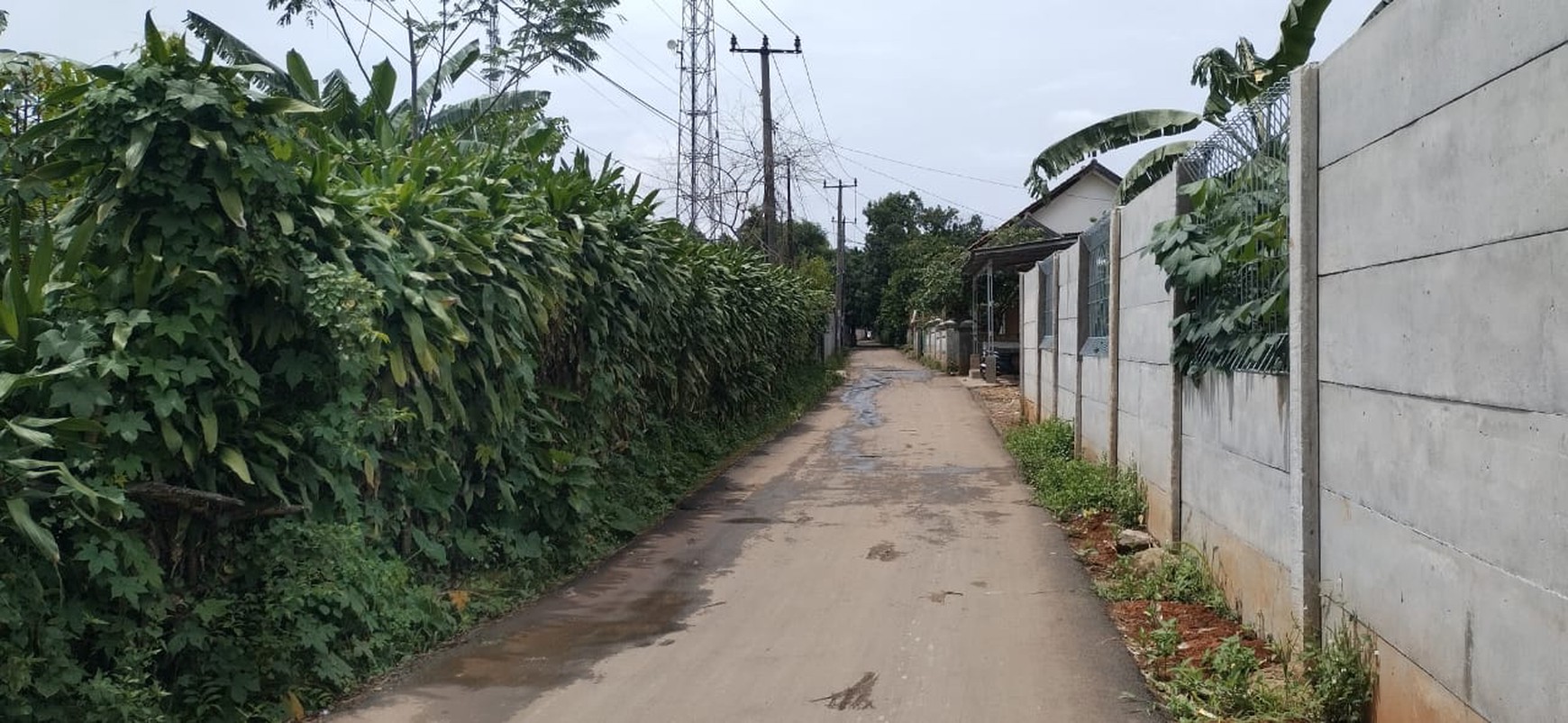 Dijual segera tanah di Klapa Nunggal setengah dari harga NJOP