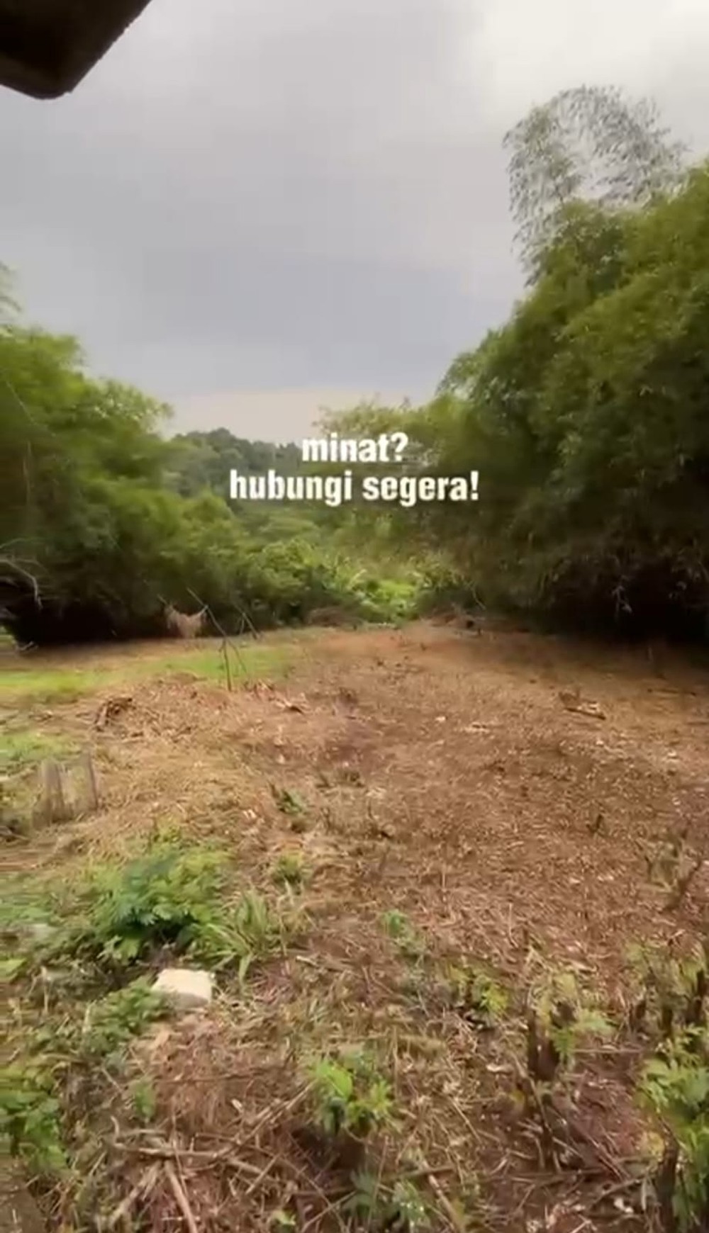 DIJUAL TANAH KOSONG POSISI PUNCAK KOTA BANDUNG