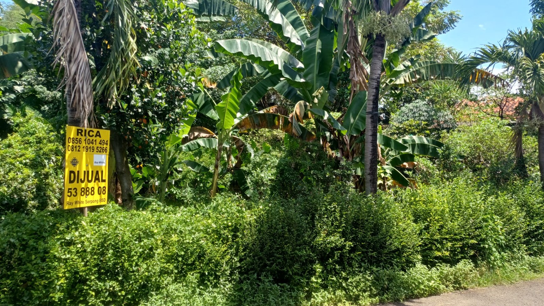 Tanah Luas di Komplek Qaryah Thayyibah Jakarta Barat