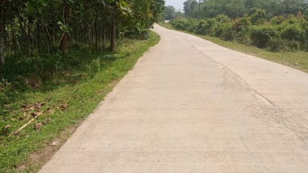 Tanah luas 30Ha di Sajira, Kabupaten Lebak Banten
