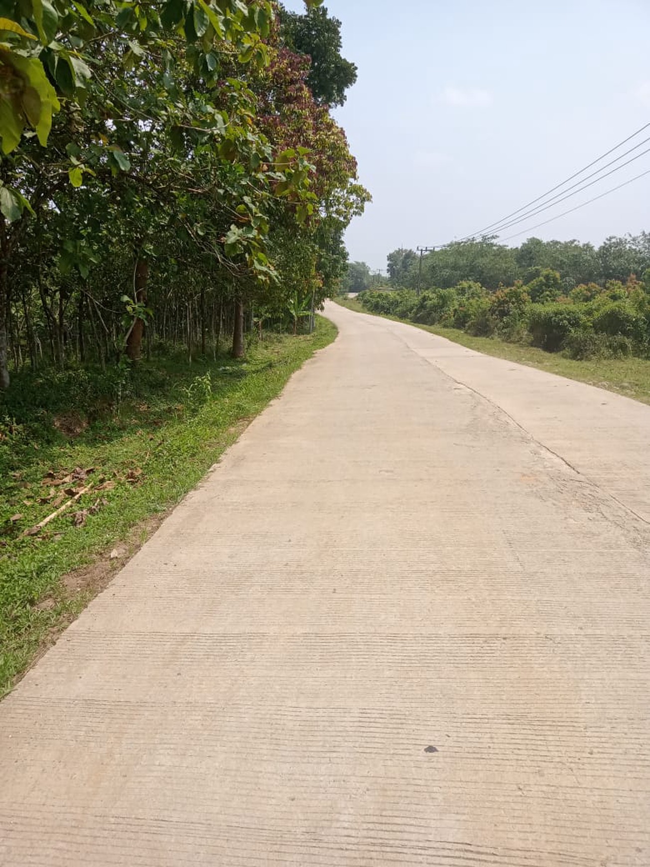 Tanah luas 30Ha di Sajira, Kabupaten Lebak Banten