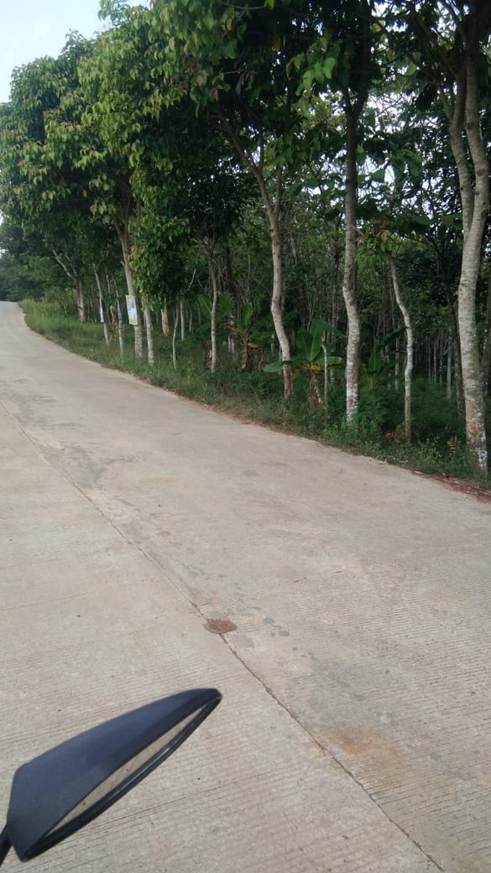 Tanah luas 30Ha di Sajira, Kabupaten Lebak Banten