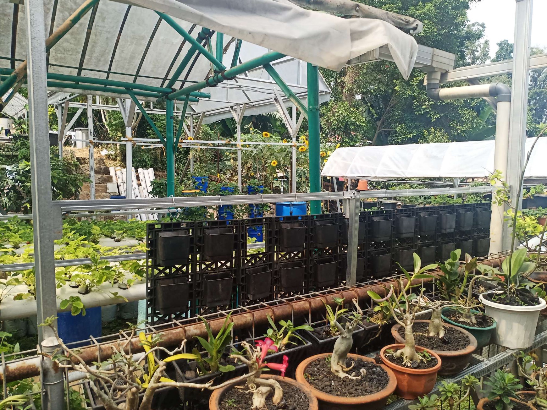 RUMAH NYAMAN DENGAN TANAH YANG LUAS! Rumah 2 Lantai dengan di Bukit Dago Utara, Bandung Utara