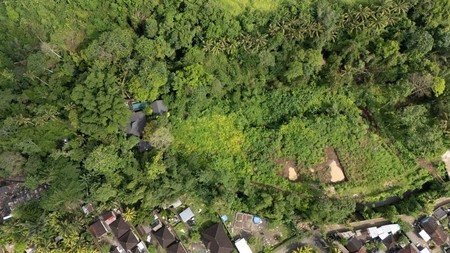 Leasehold Land in Kaba-Kaba, Tabanan