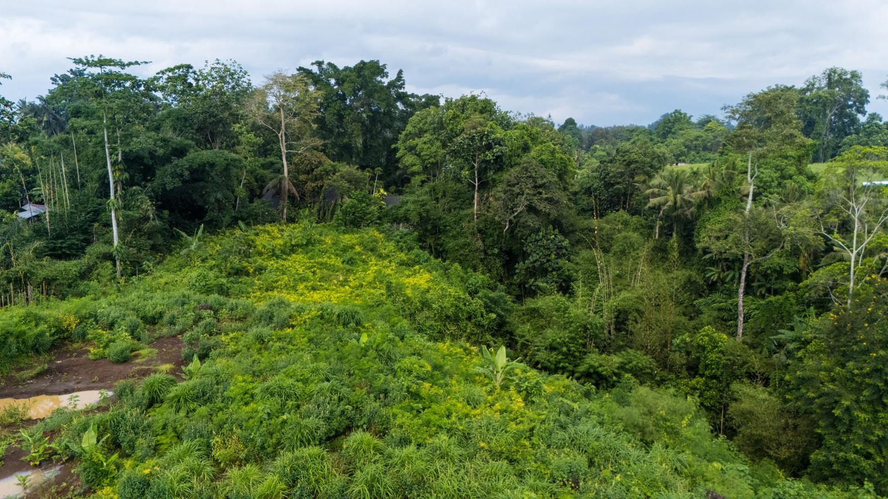 Leasehold Land in Kaba-Kaba, Tabanan