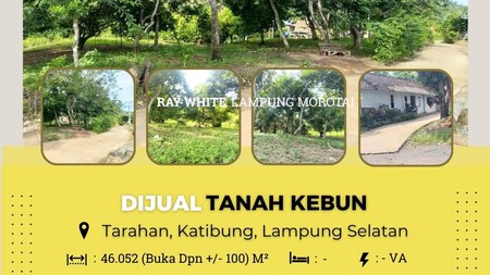 DIJUAL TANAH DI KATIBUNG, TARAHAN LAMPUNG SELATAN