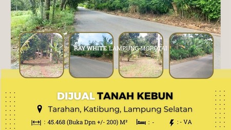 DIJUAL TANAH DI KATIBUNG, TARAHAN 