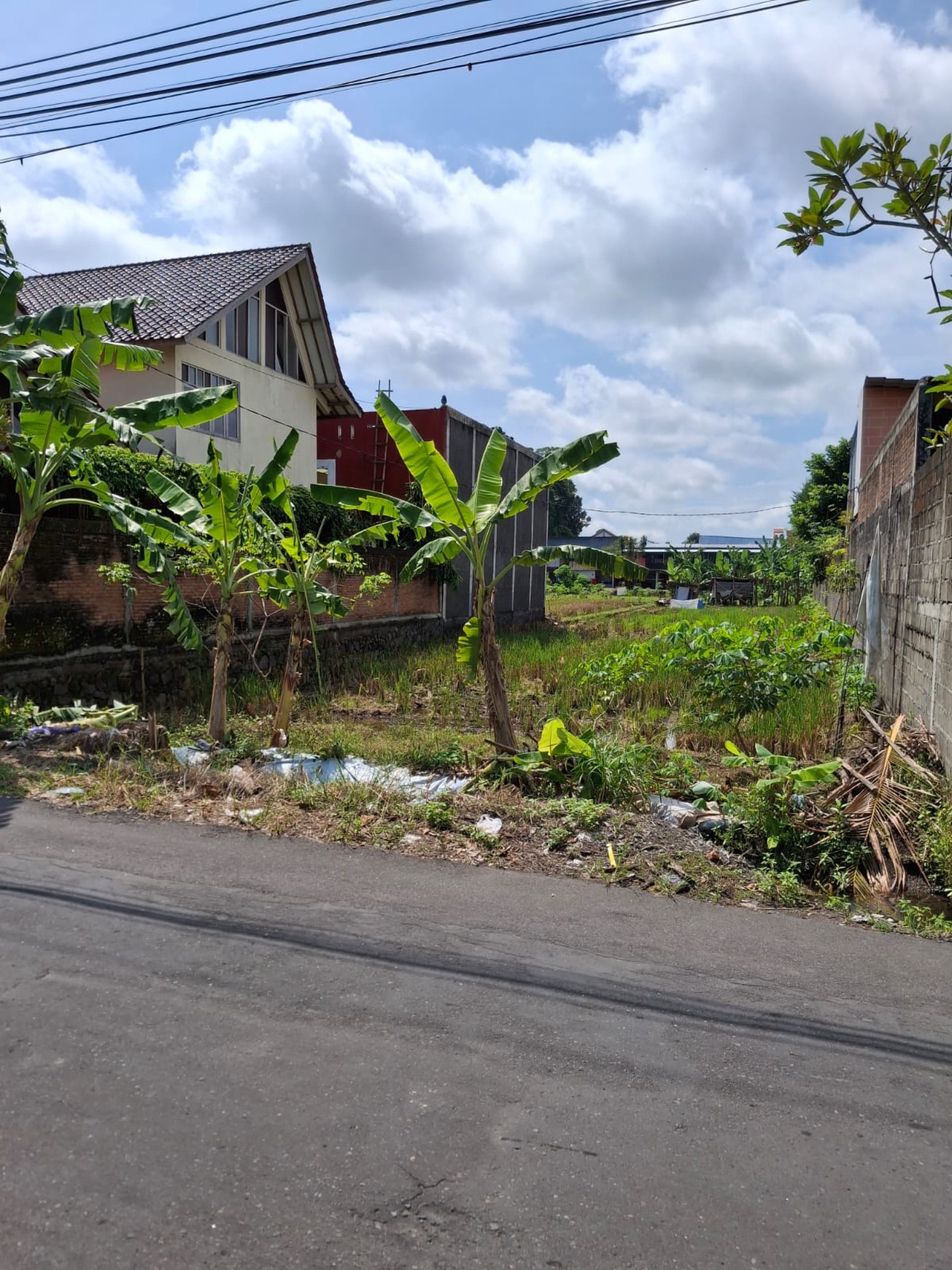 Tanah Luas 1.058 Meter Persegi Di Maguwoharjo Dekat Kampus Sanata Darma