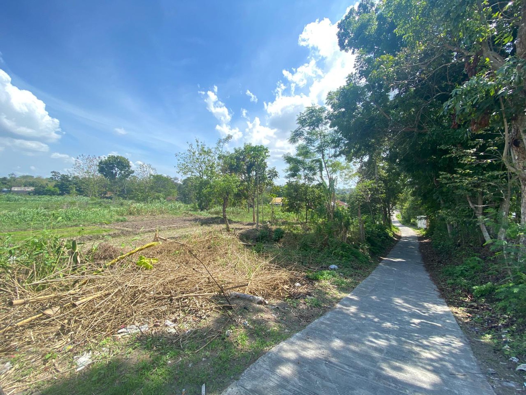 Tanah Sawah Dijual di Tegaltirto Sleman - Lokasi Strategis & Potensi Luas !!
