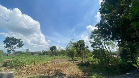  Tanah Sawah Dijual di Tegaltirto Sleman - Lokasi Strategis & Potensi Luas !!