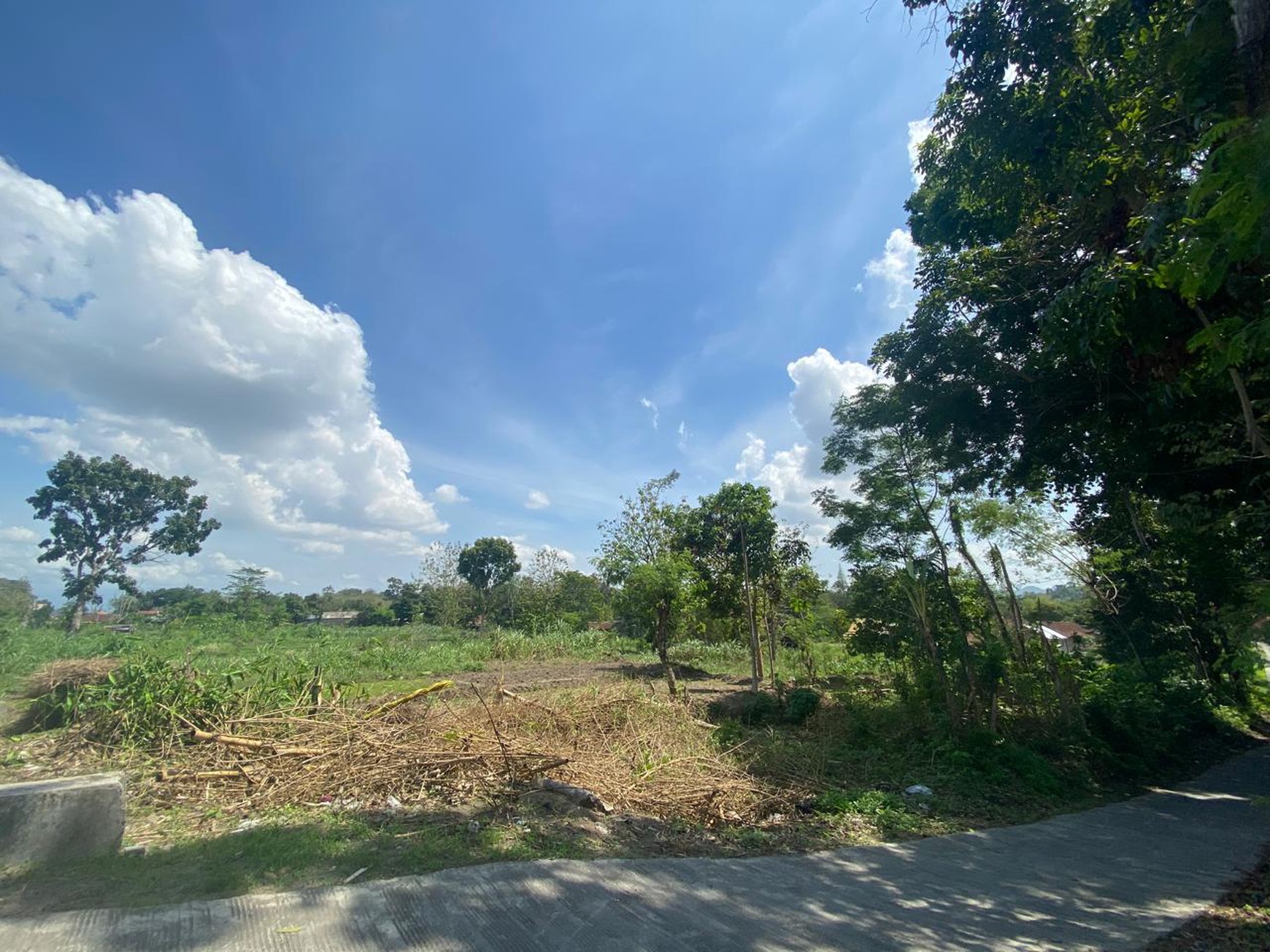 Tanah Sawah Dijual di Tegaltirto Sleman - Lokasi Strategis & Potensi Luas !!