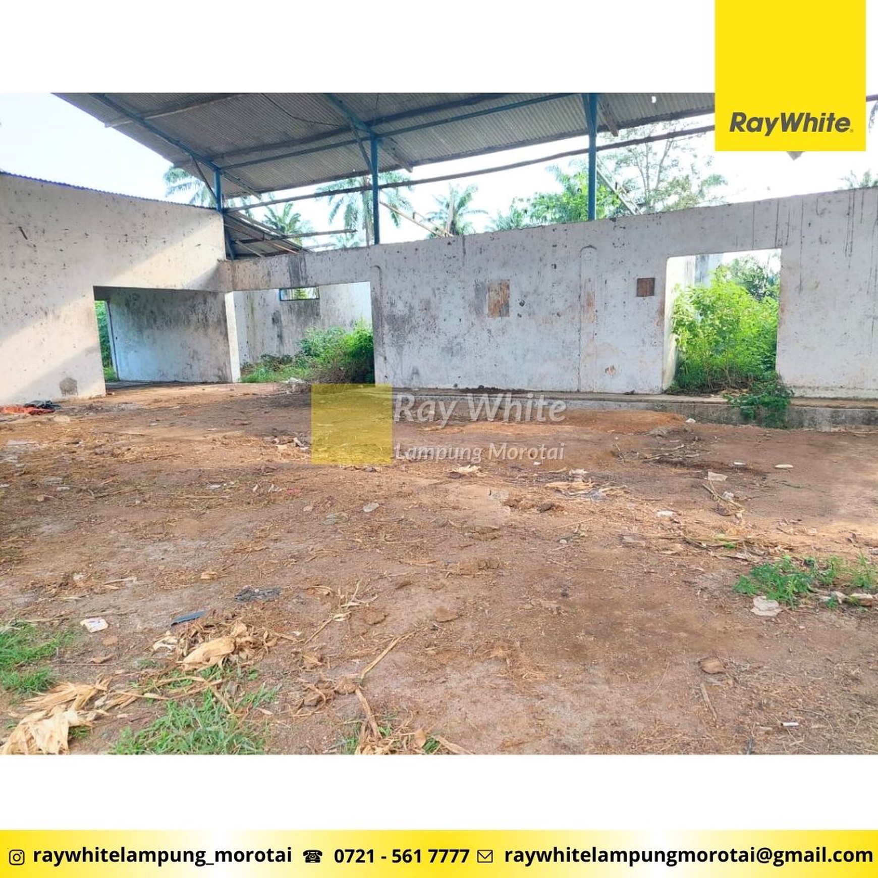 Dijual Tanah Kebun lokasi Bangun rejo Lampung Tengah