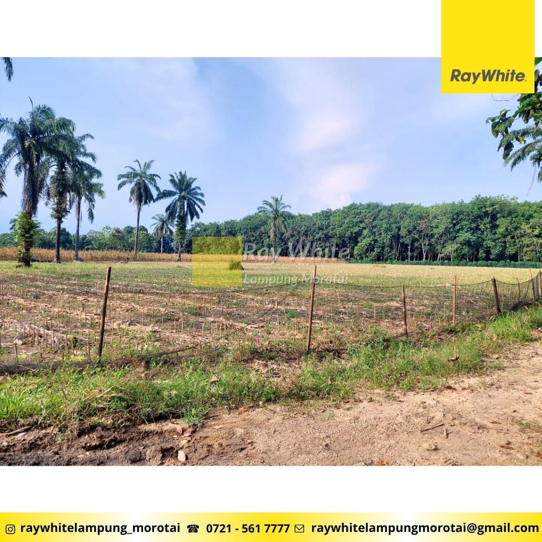 Dijual Tanah Kebun lokasi Bangun rejo Lampung Tengah