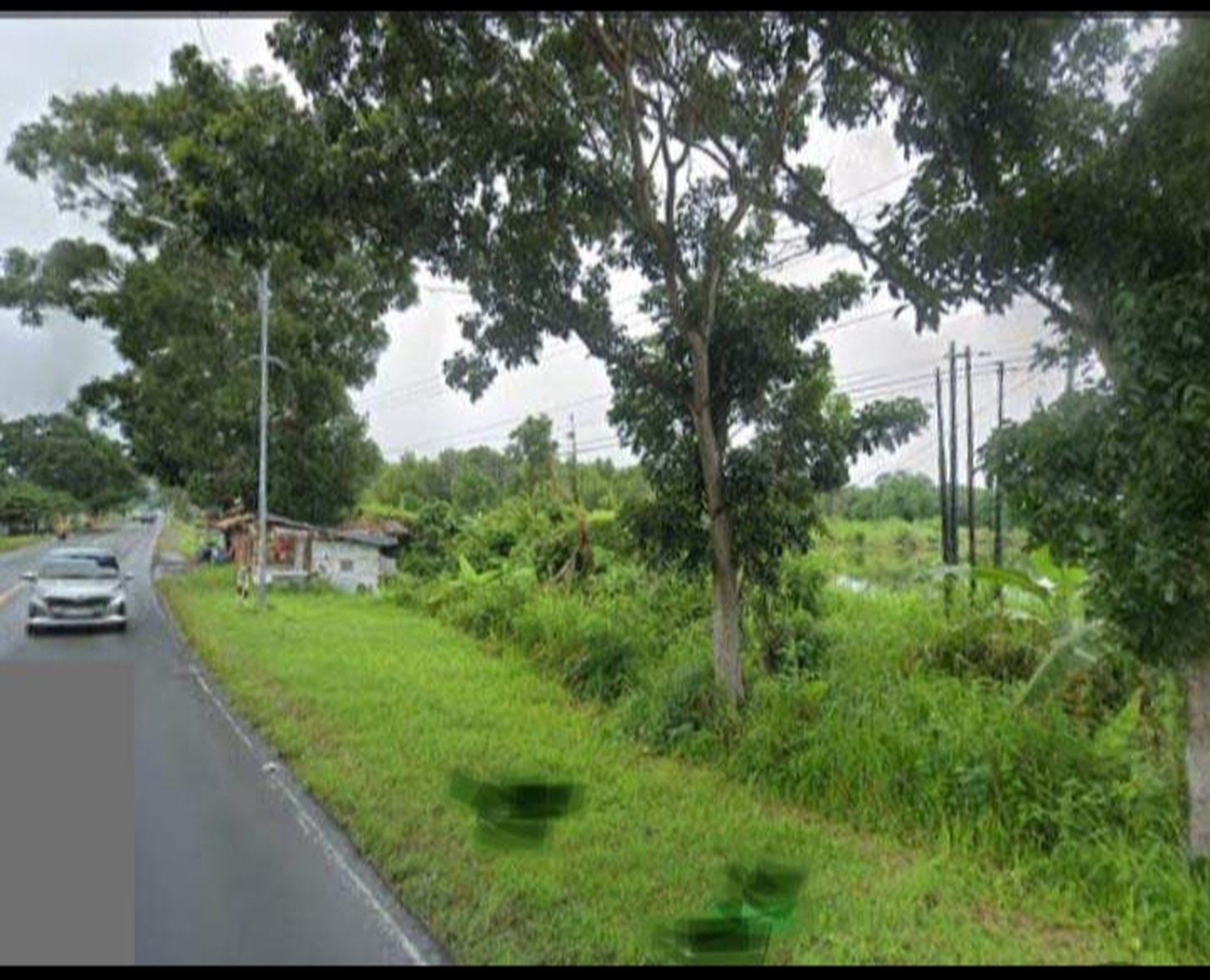 Dijual Tanah Luas 5 hektar bekas tambak di Kalianda