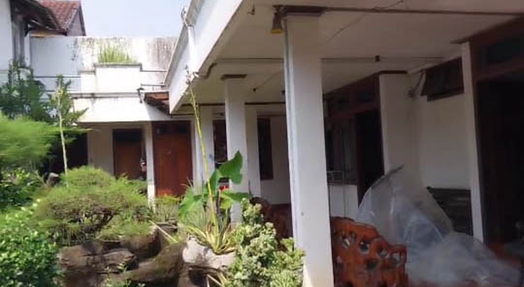 Rumah Kelapa Puyuh, Kelapa Gading