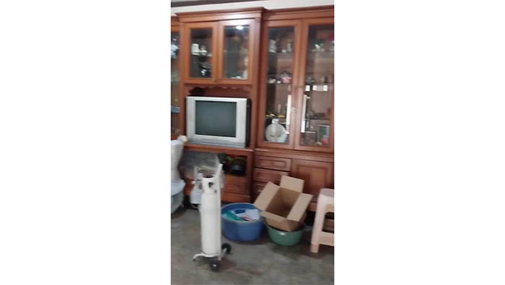 Rumah Kelapa Puyuh, Kelapa Gading