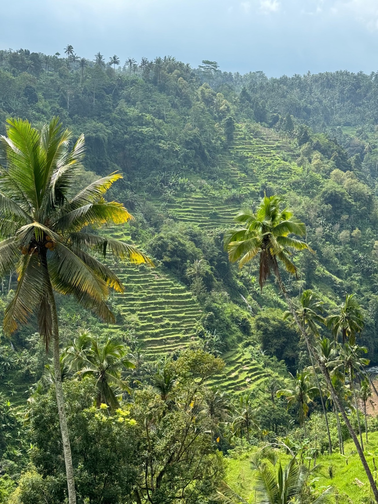 For Sale Leasehold - Unique land plots on the egde of a canyon with river and breathtaking views of a waterfall and Mount Agung - Sidemen , Bali