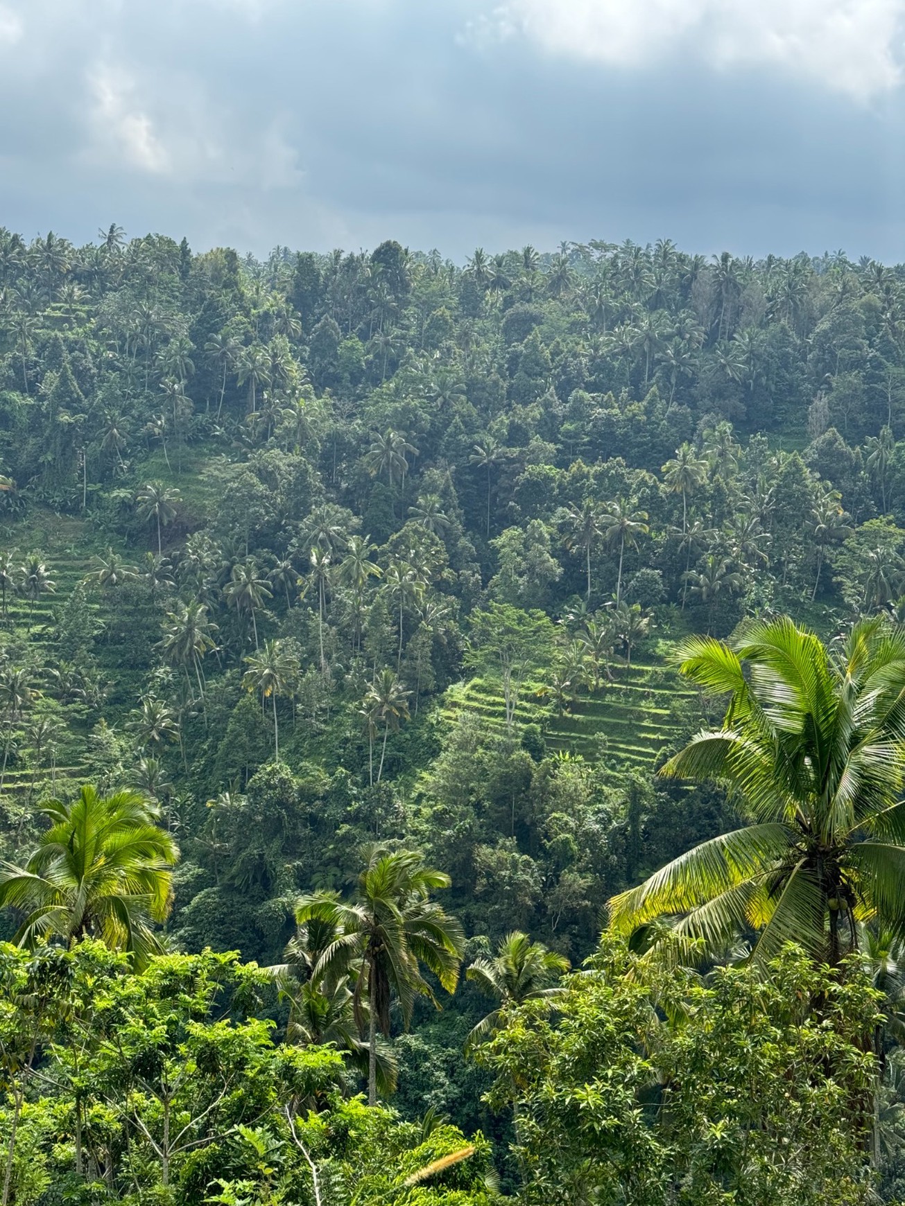 For Sale Leasehold - Unique land plots on the egde of a canyon with river and breathtaking views of a waterfall and Mount Agung - Sidemen , Bali