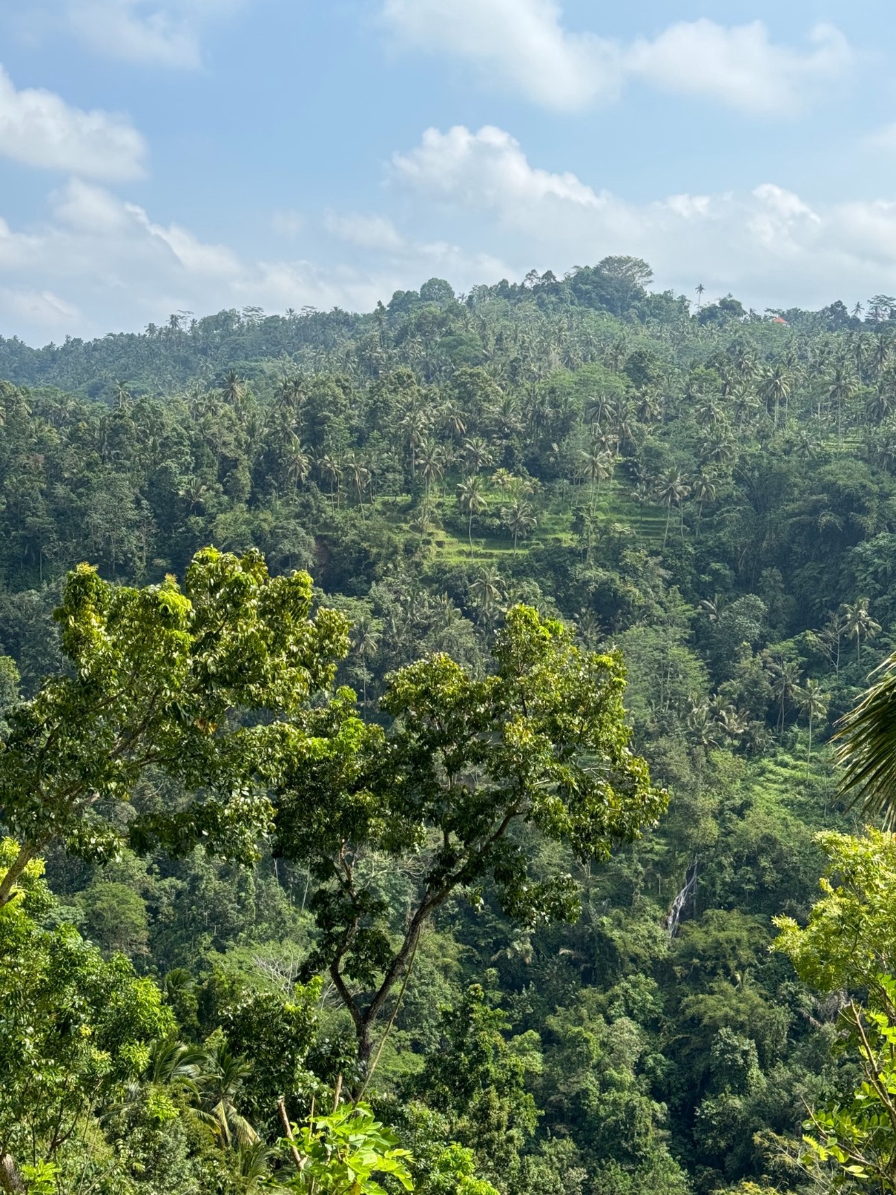 For Sale Leasehold - Unique land plots on the egde of a canyon with river and breathtaking views of a waterfall and Mount Agung - Sidemen , Bali