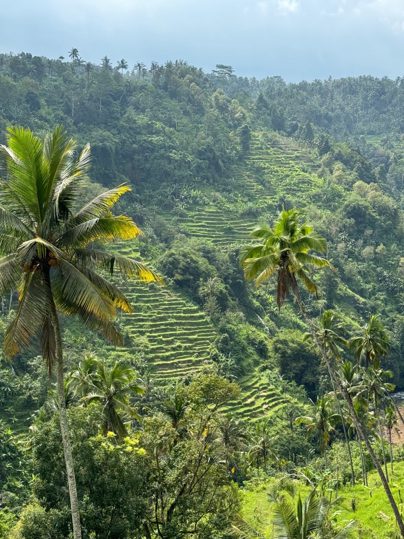 For Sale Leasehold - Unique land plots on the egde of a canyon with river and breathtaking views of a waterfall and Mount Agung - Sidemen , Bali