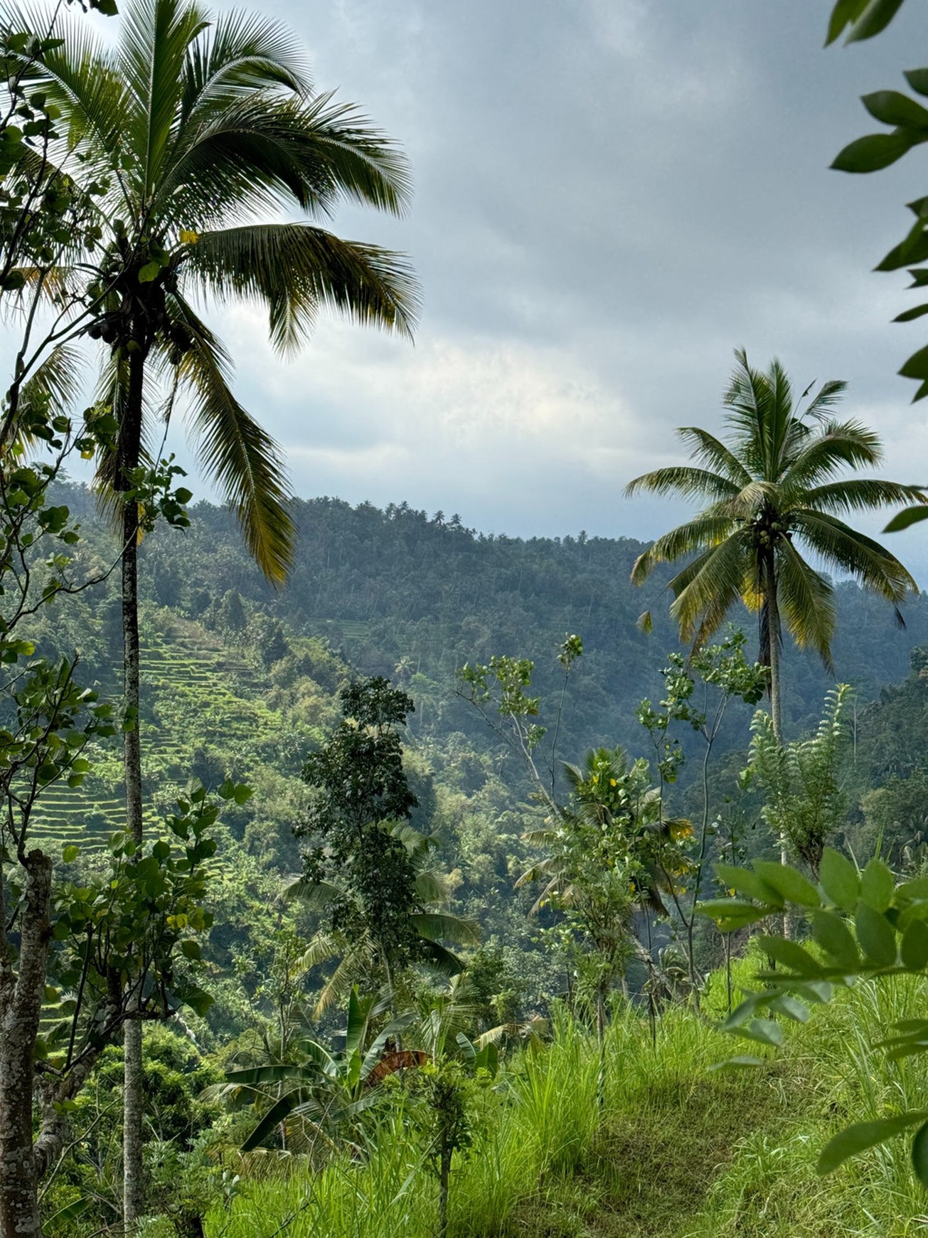 For Sale Leasehold - Unique land plots on the egde of a canyon with river and breathtaking views of a waterfall and Mount Agung - Sidemen , Bali