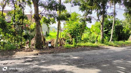 Tanah Pertanian 1889 Meter Persegi Berada di Jalan Tempel-Seyegan Sleman