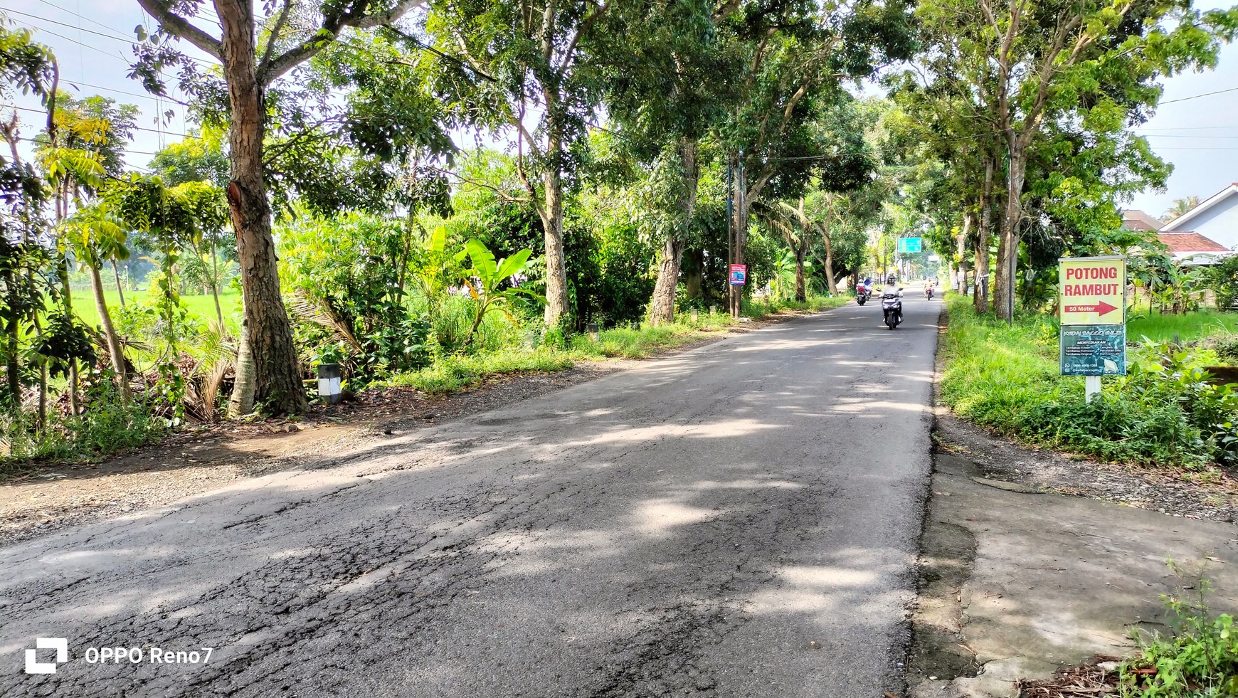 Tanah Pertanian 1889 Meter Persegi Berada di Jalan Tempel-Seyegan Sleman
