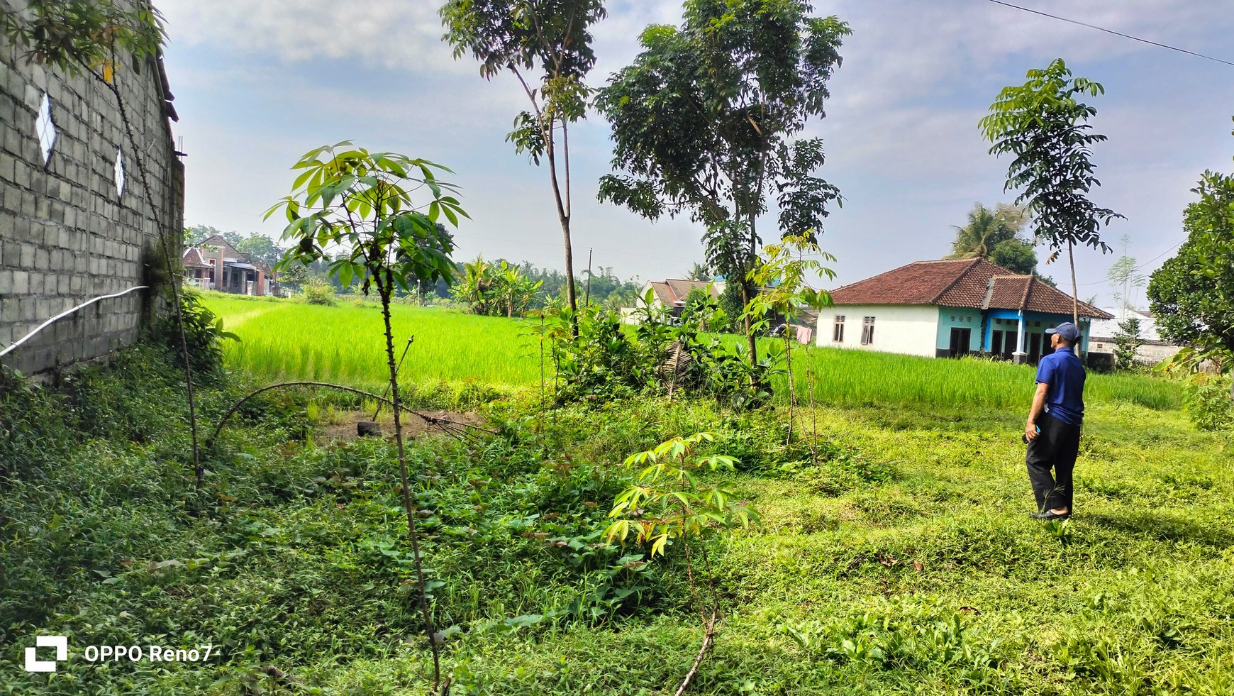 Tanah Pertanian 1889 Meter Persegi Berada di Jalan Tempel-Seyegan Sleman
