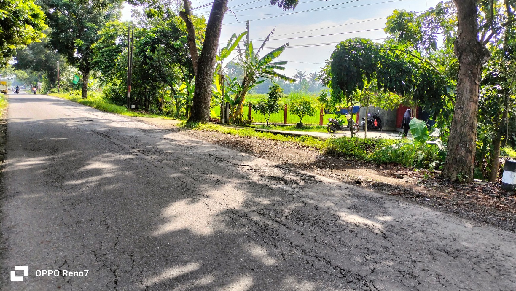 Tanah Pertanian 1889 Meter Persegi Berada di Jalan Tempel-Seyegan Sleman