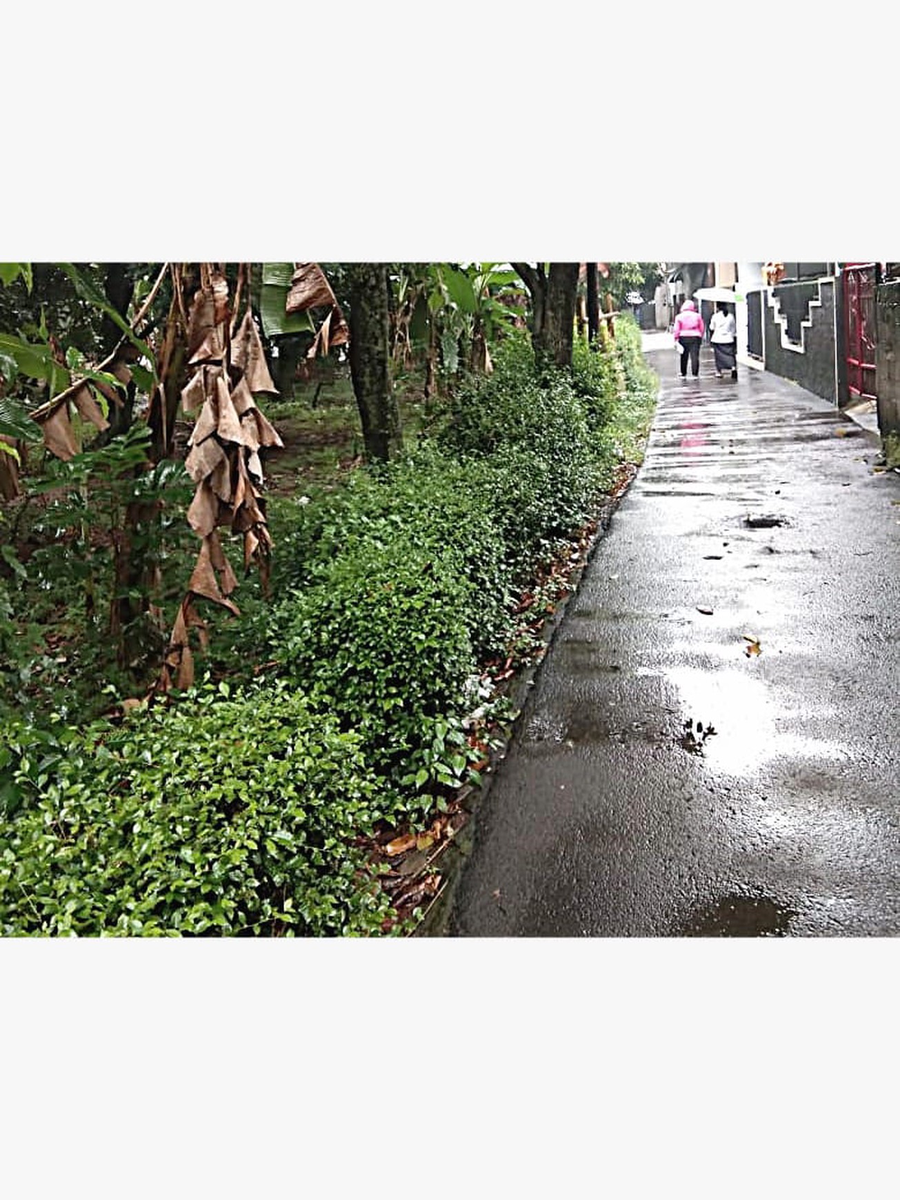 Tanah dijual murah daerah Cipayung Jakarta Timur, cocok utk cluster rumah