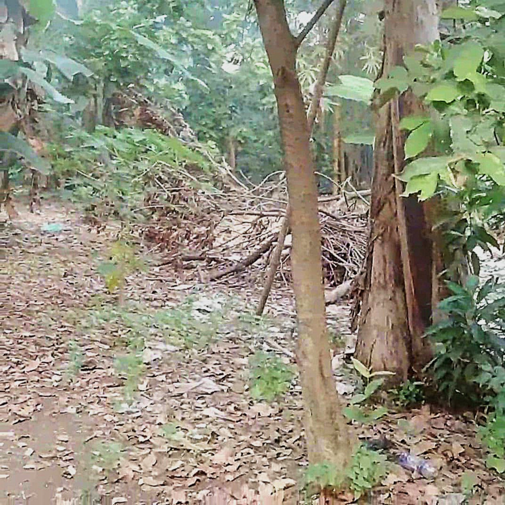 Tanah dijual murah daerah Cipayung Jakarta Timur, cocok utk cluster rumah