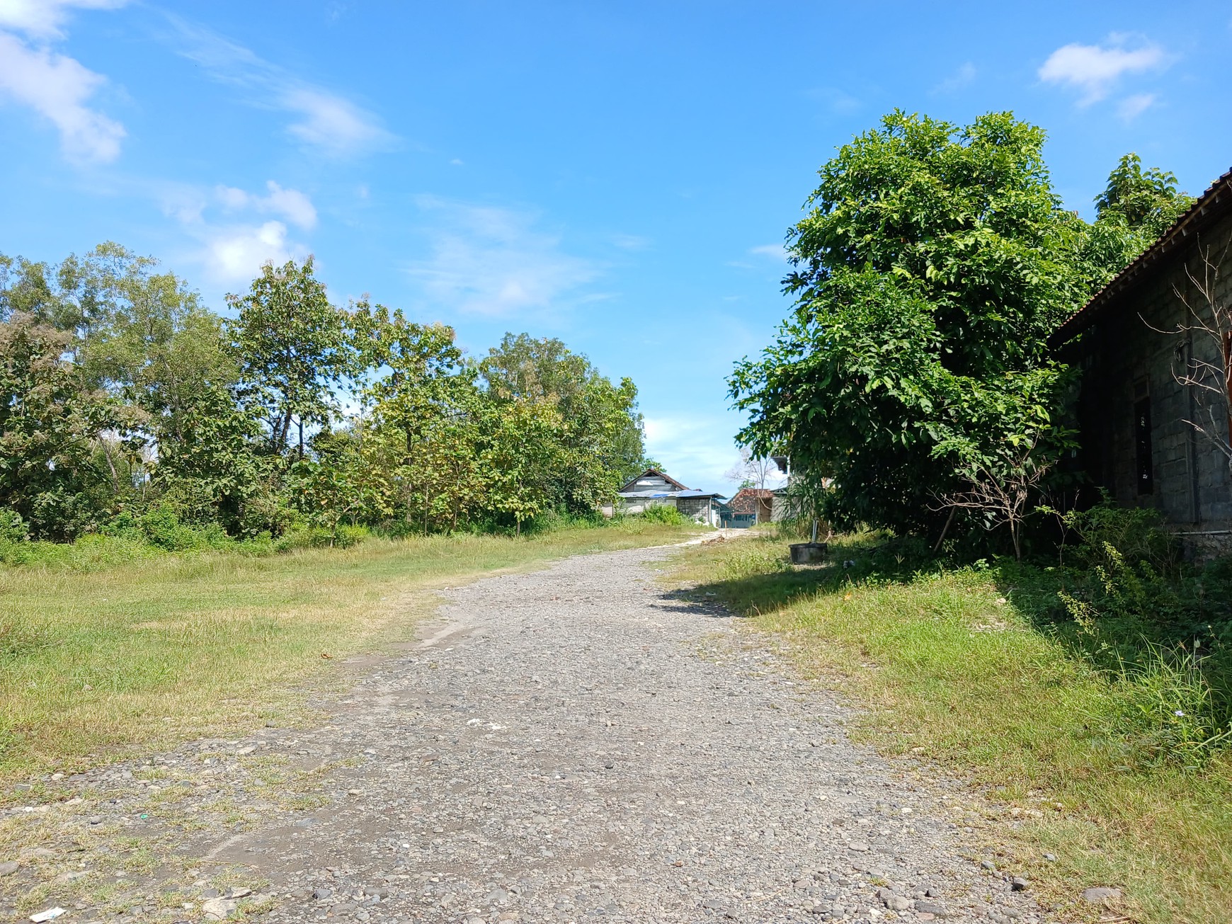 Tanah Luas 2006 Meter Persegi di Pinggir Jalan Guwosari Raya