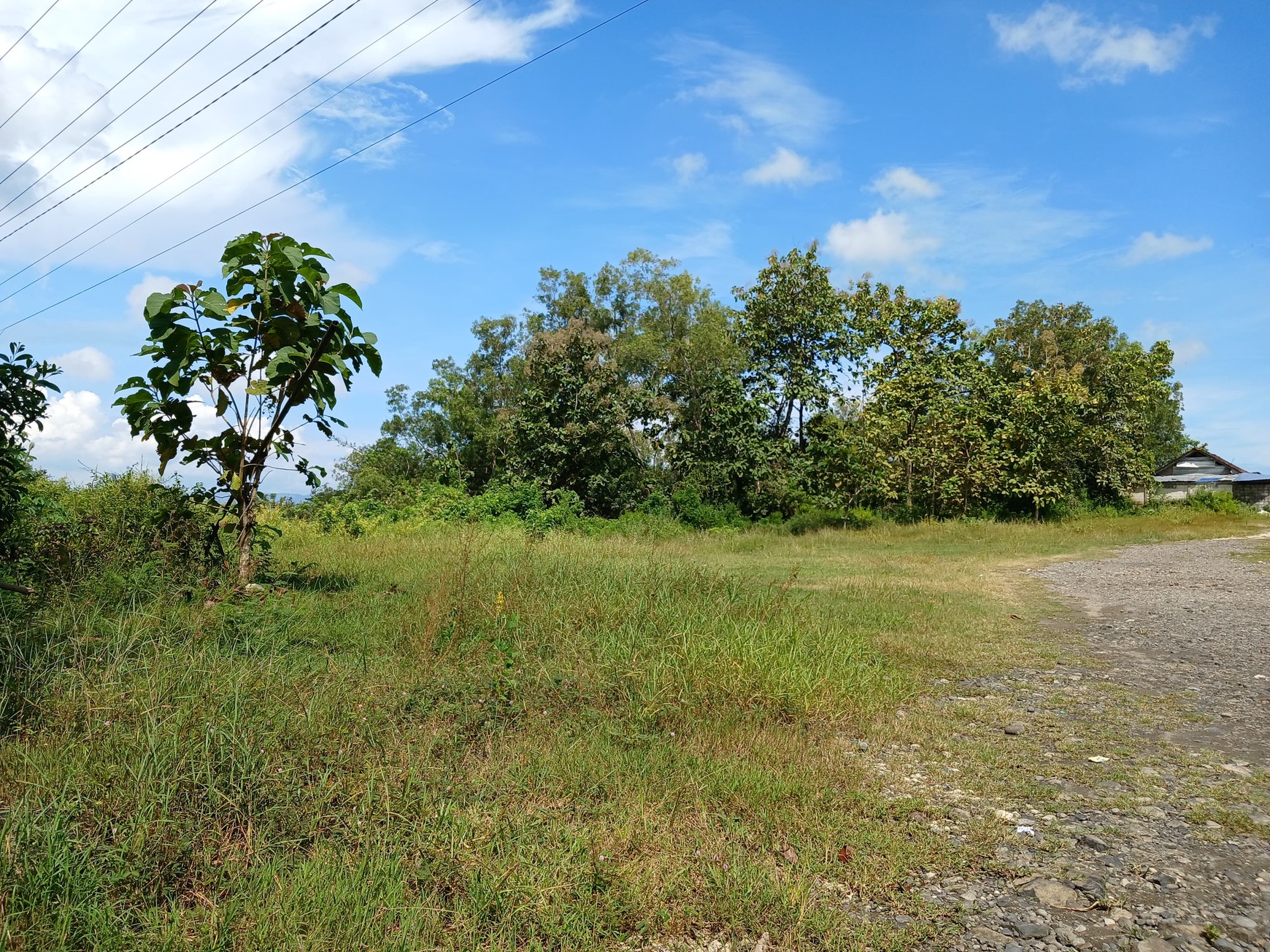 Tanah Luas 2006 Meter Persegi di Pinggir Jalan Guwosari Raya