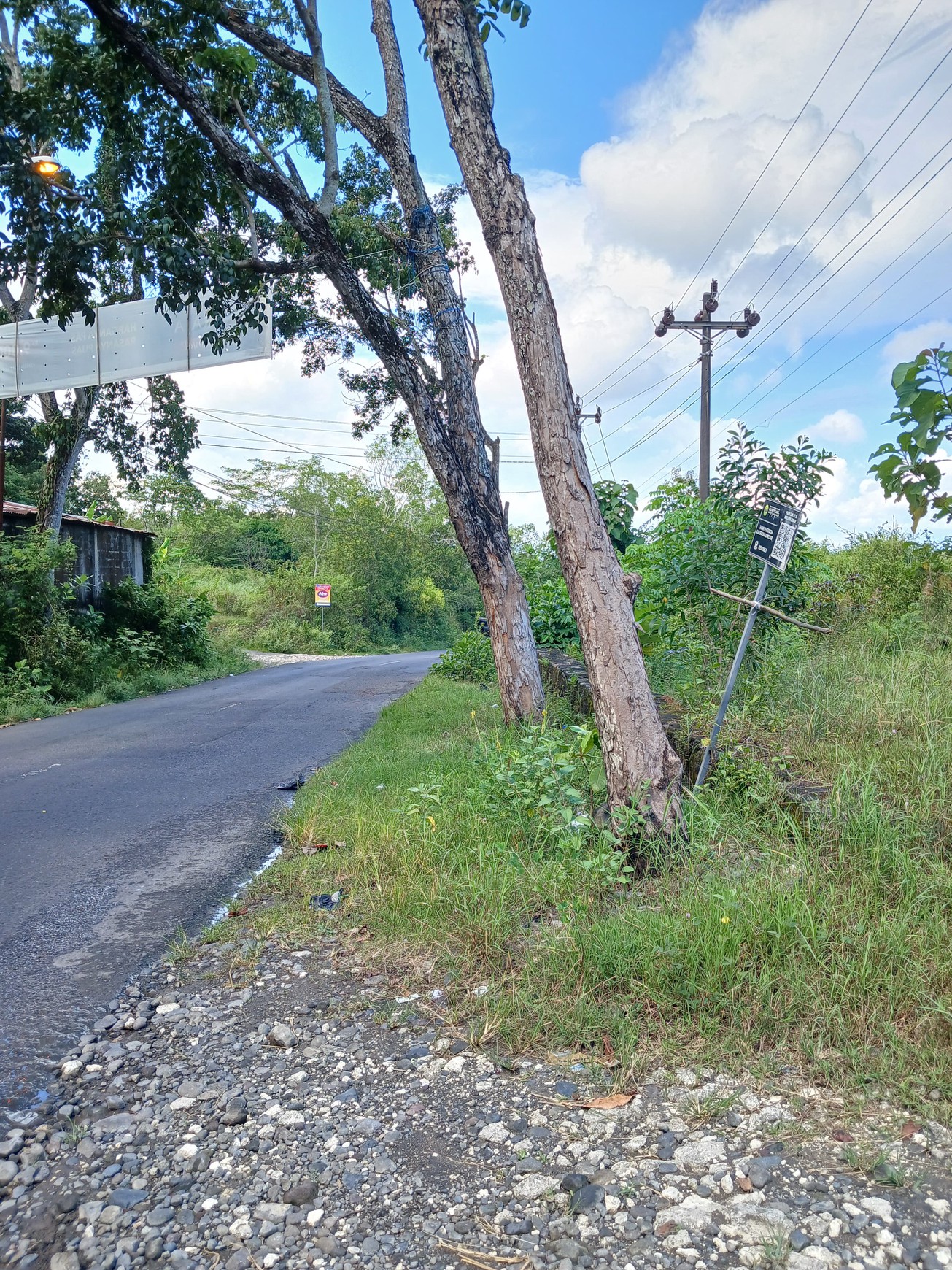 Tanah Luas 2006 Meter Persegi di Pinggir Jalan Guwosari Raya