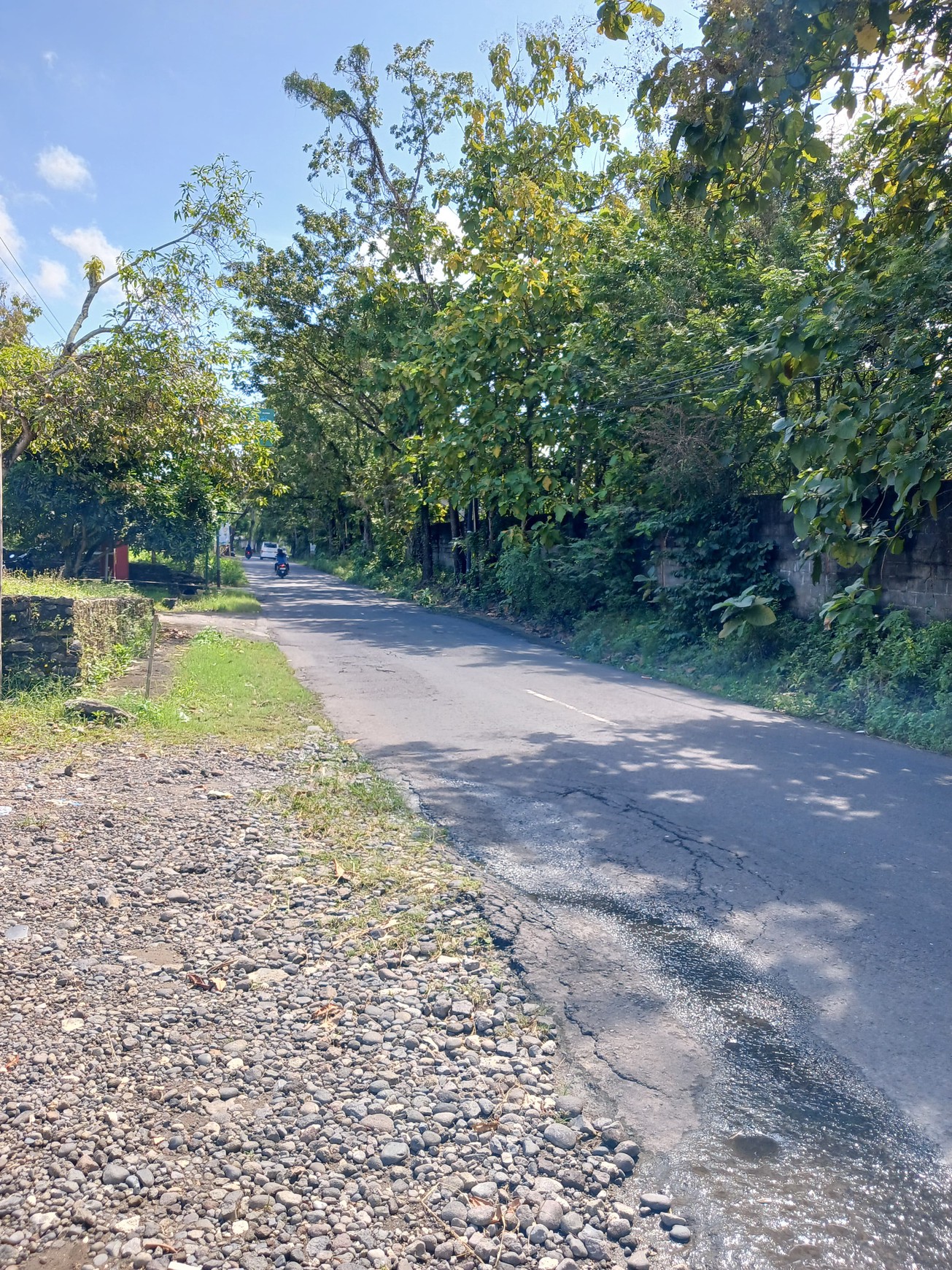 Tanah Luas 2006 Meter Persegi di Pinggir Jalan Guwosari Raya