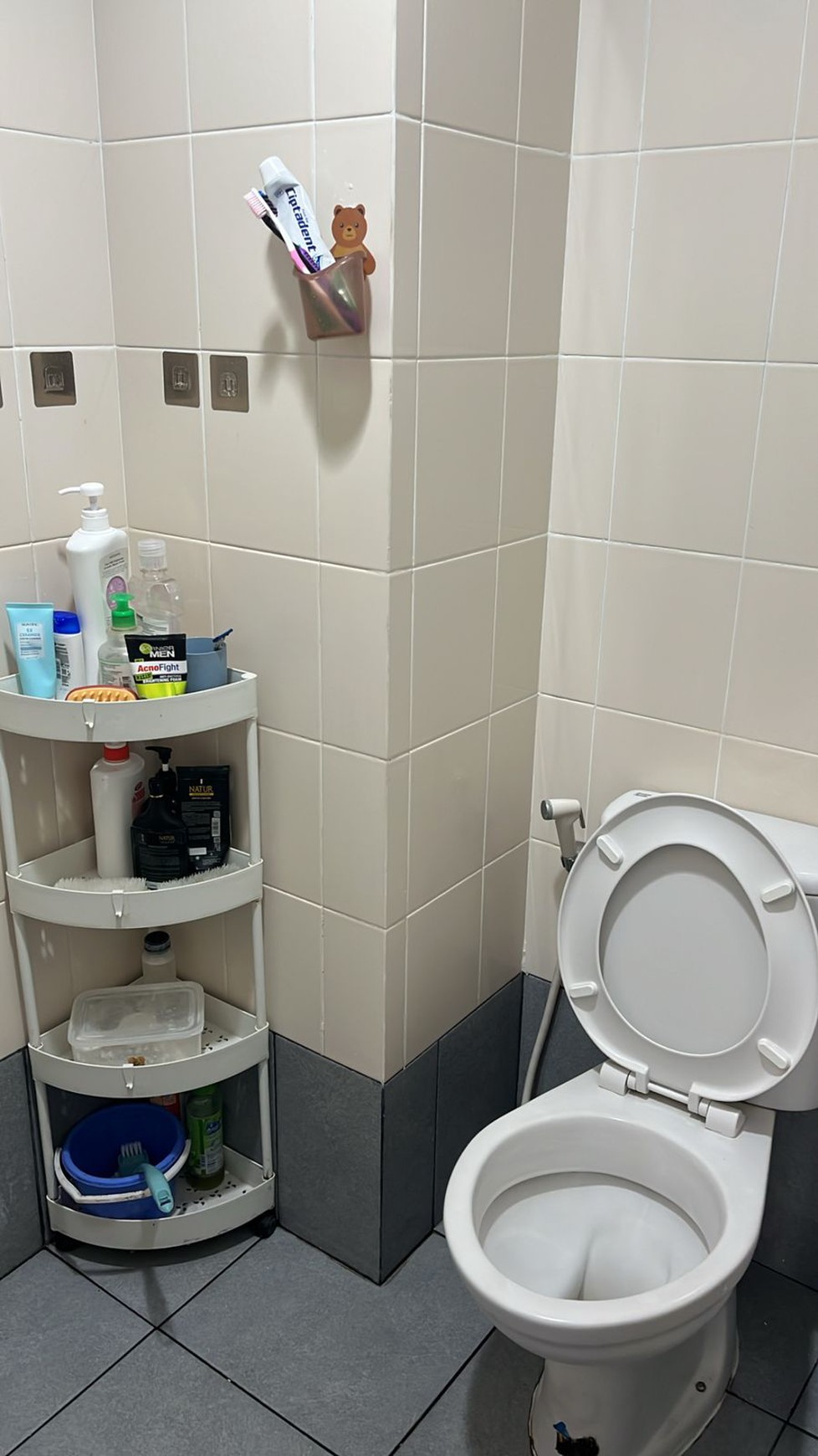 Apt Akasa BSD Full furnished 