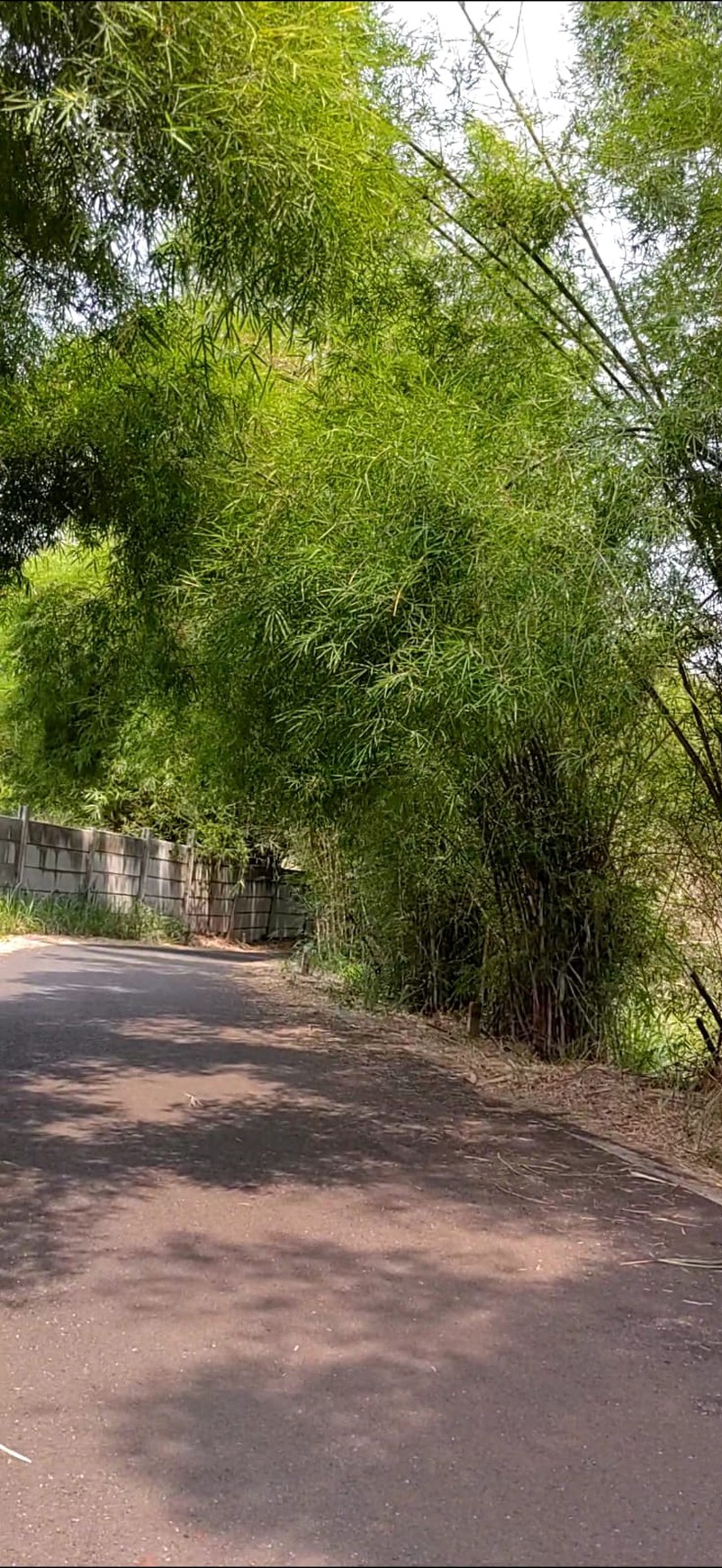 Dijual Tanah Kavling Jl.Lengkong Gudang Timur Tangerang