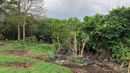 Freehold - Rare Opportunity! Land in commercial  located in Ubung Kaja, Denpasar Utara, Bali