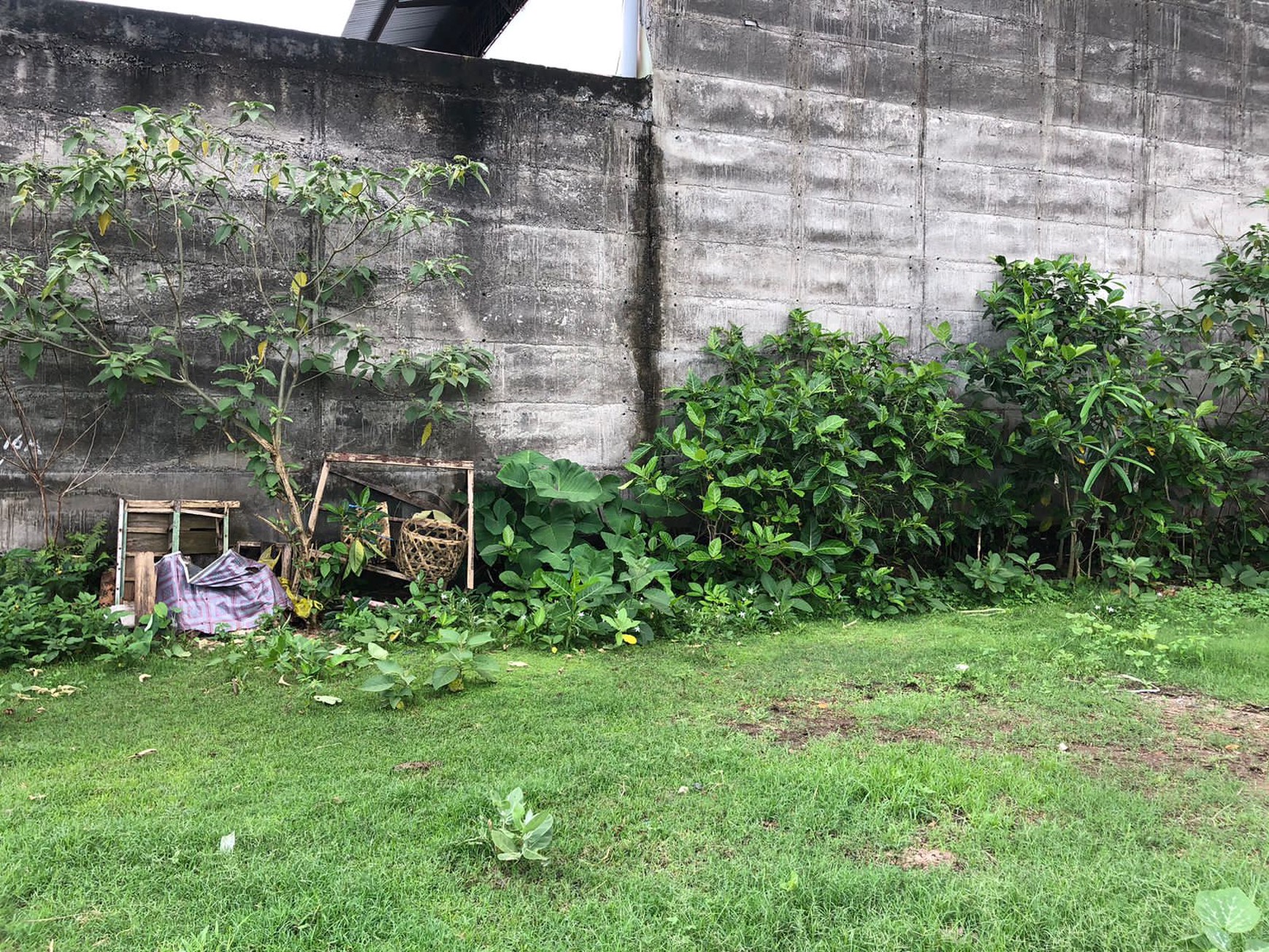 Freehold - Rare Opportunity! Land in commercial located in Ubung Kaja, Denpasar Utara, Bali