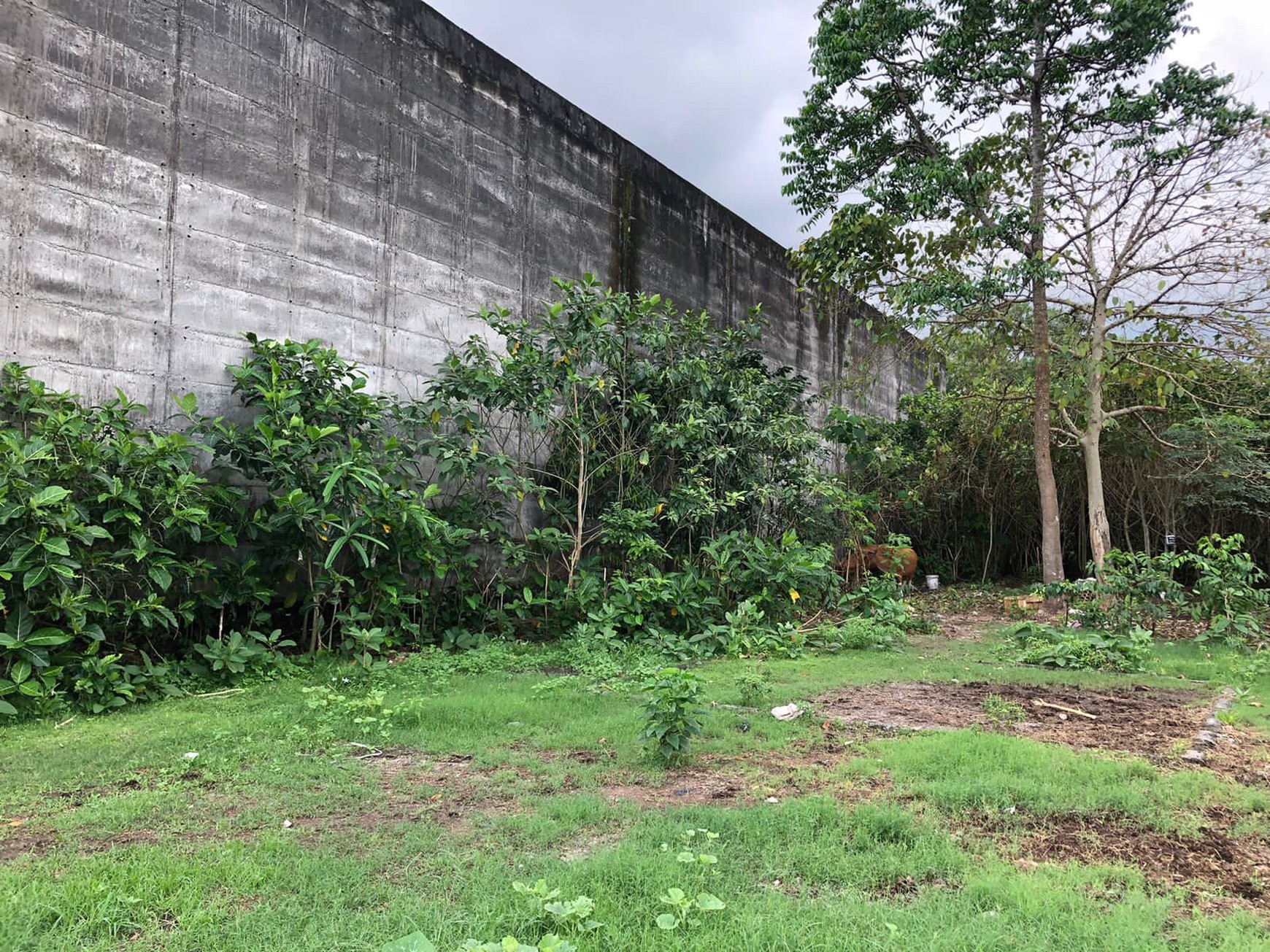 Freehold - Rare Opportunity! Land in commercial located in Ubung Kaja, Denpasar Utara, Bali