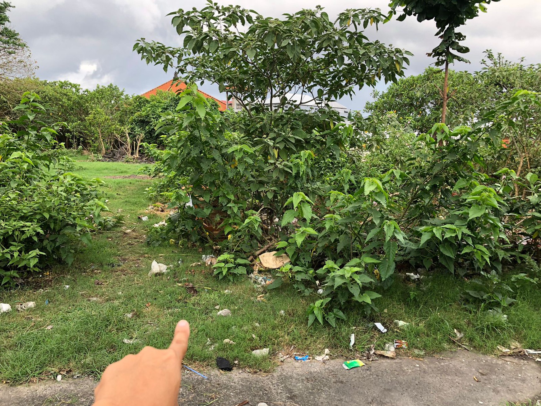 Freehold - Rare Opportunity! Land in commercial located in Ubung Kaja, Denpasar Utara, Bali