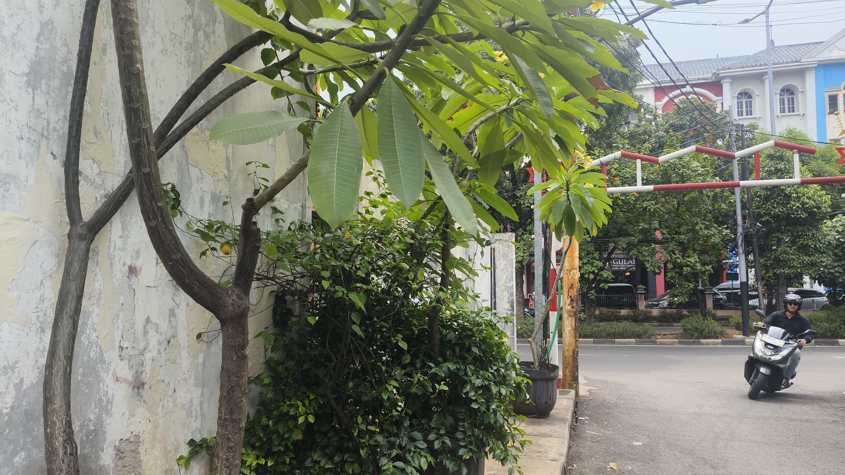Rumah dihitung Kavling Tanah di Zona Komersil dan jarang ada