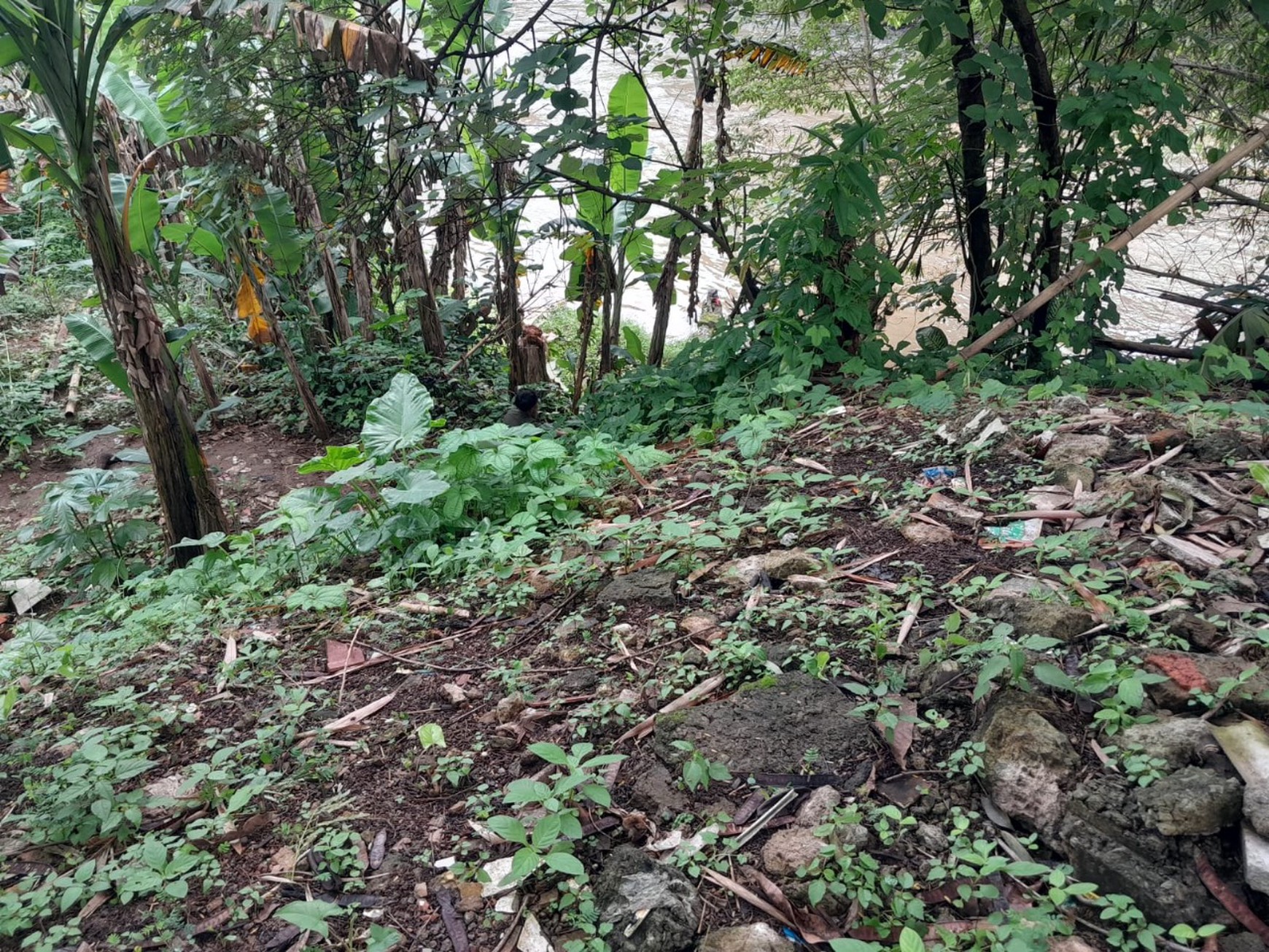 Dijual cepat tanah di jl Flamboyan Pancoran Mas Depok