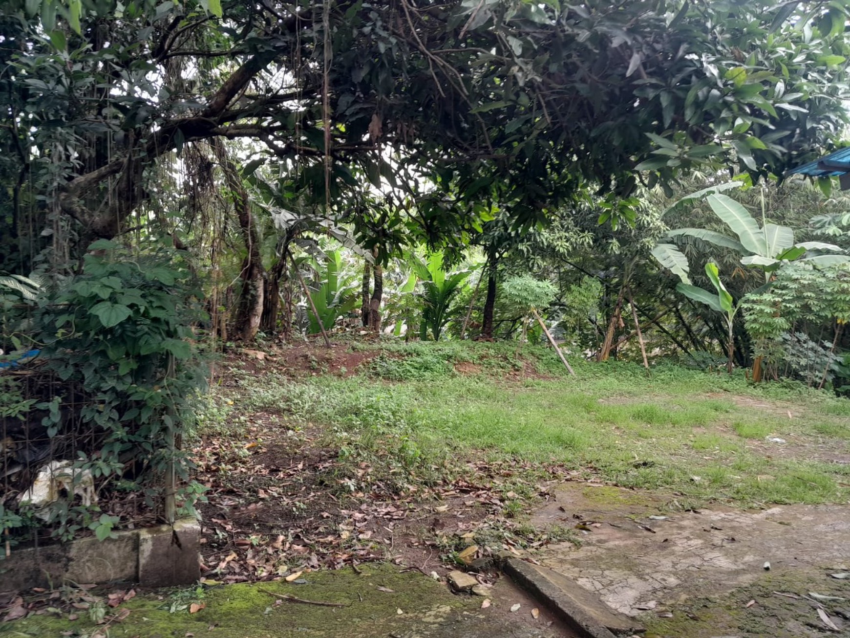 Dijual cepat tanah di jl Flamboyan Pancoran Mas Depok