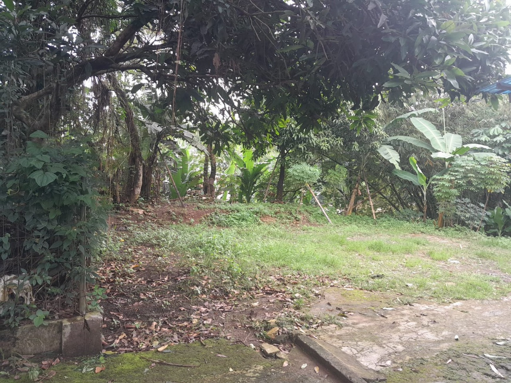 Dijual cepat tanah di jl Flamboyan Pancoran Mas Depok
