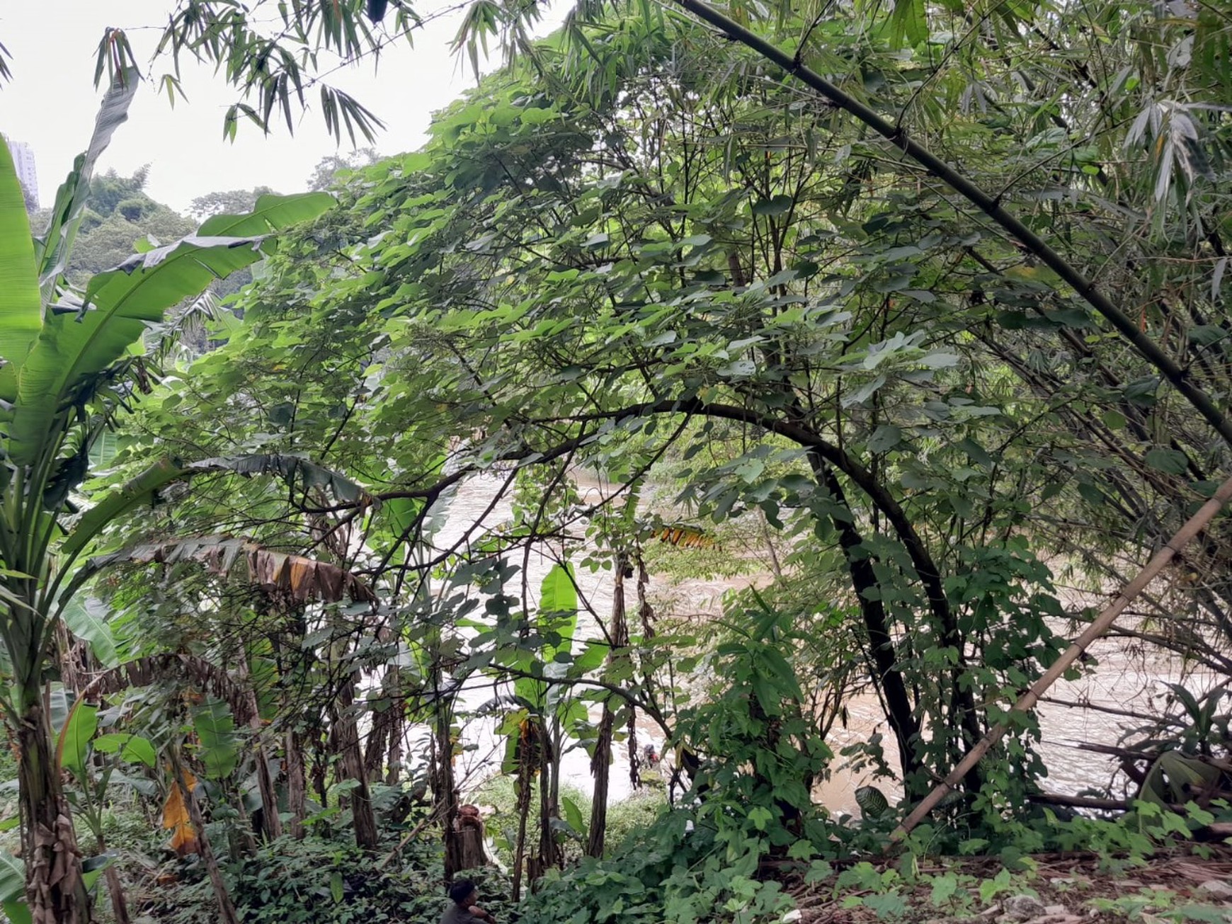 Dijual cepat tanah di jl Flamboyan Pancoran Mas Depok