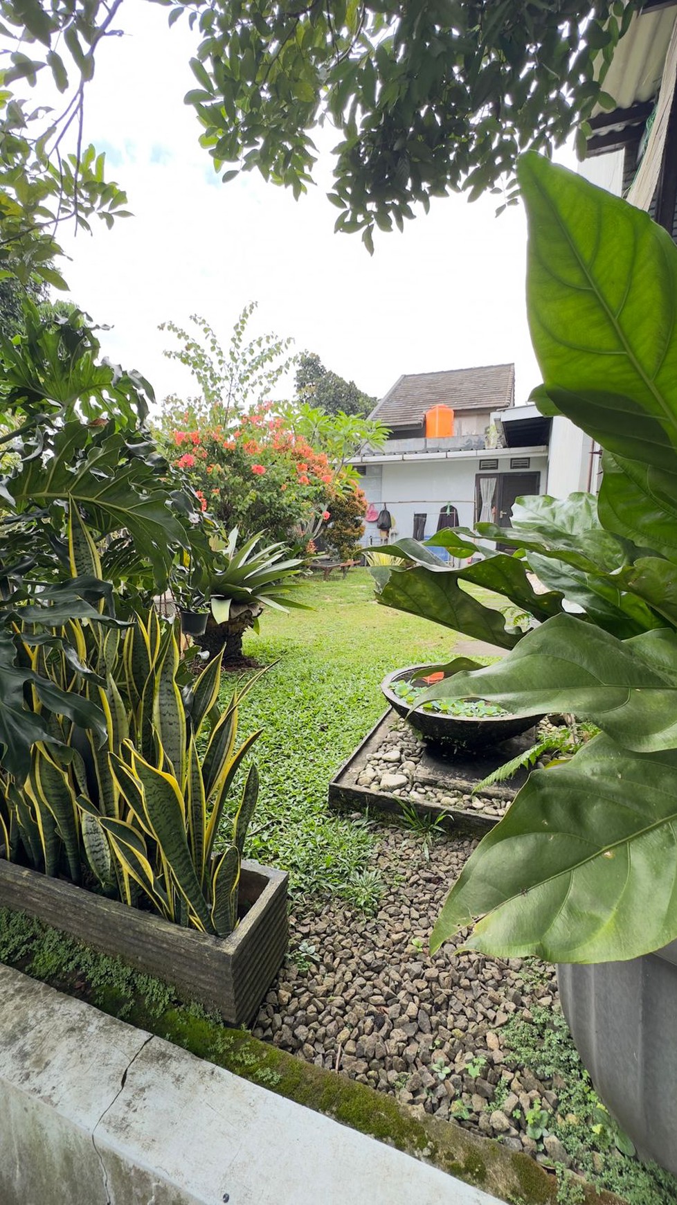Rumah 1 lantai di Bogor