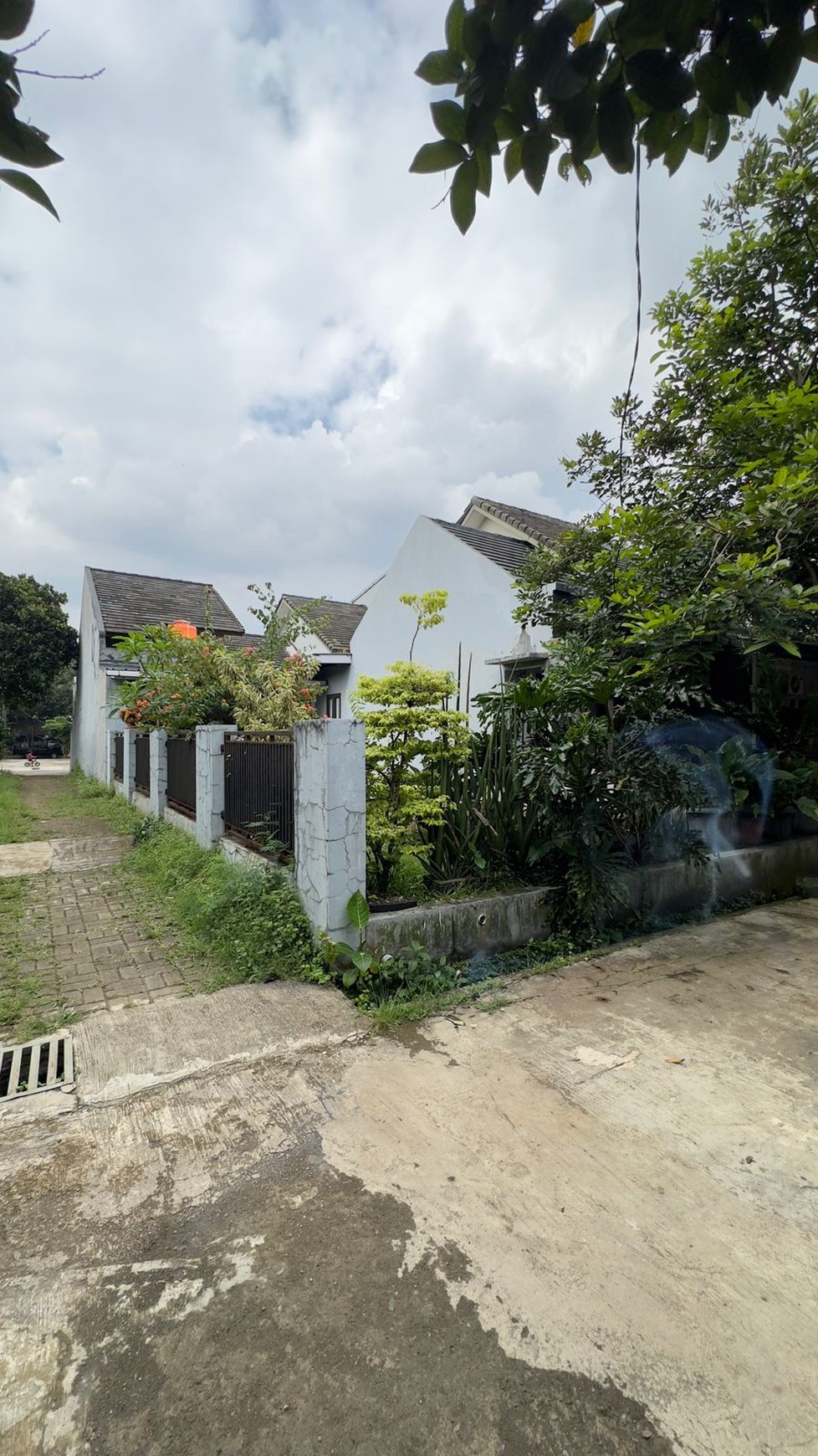 Rumah 1 lantai di Bogor