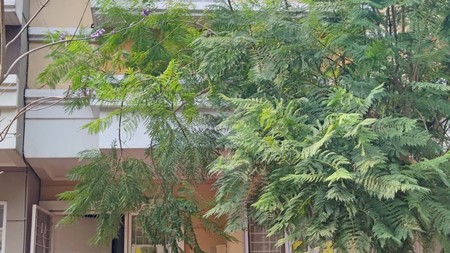 Rumah Minimalis di Amarilo Village Gading Serpong